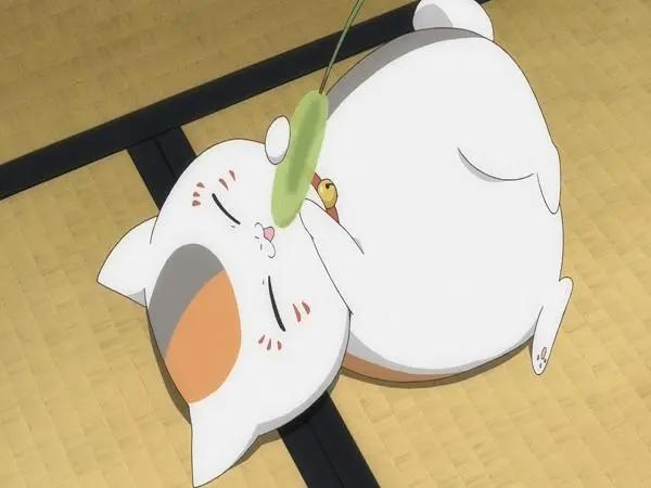 《夏目友人帐》新作即将来临，这部动画为何如此治愈？