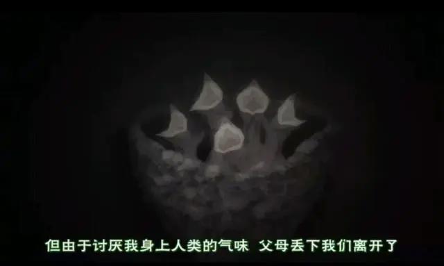 夏目友人帐！一部治愈心灵的动漫！