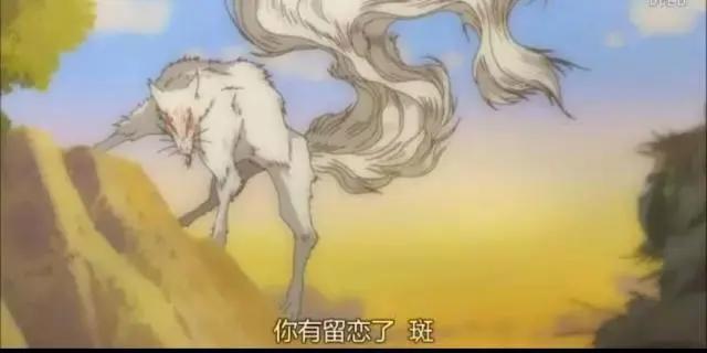 夏目友人帐！一部治愈心灵的动漫！