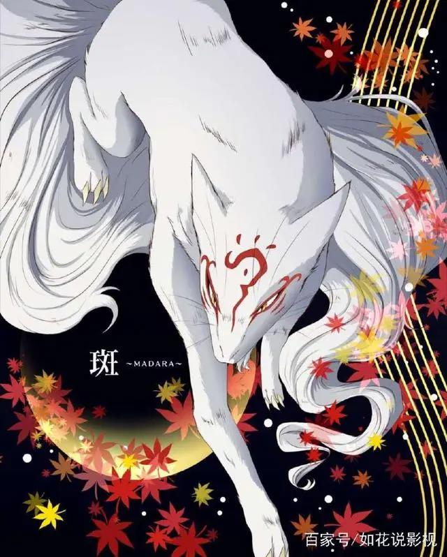 《夏目友人帐》超级治愈的一部动漫