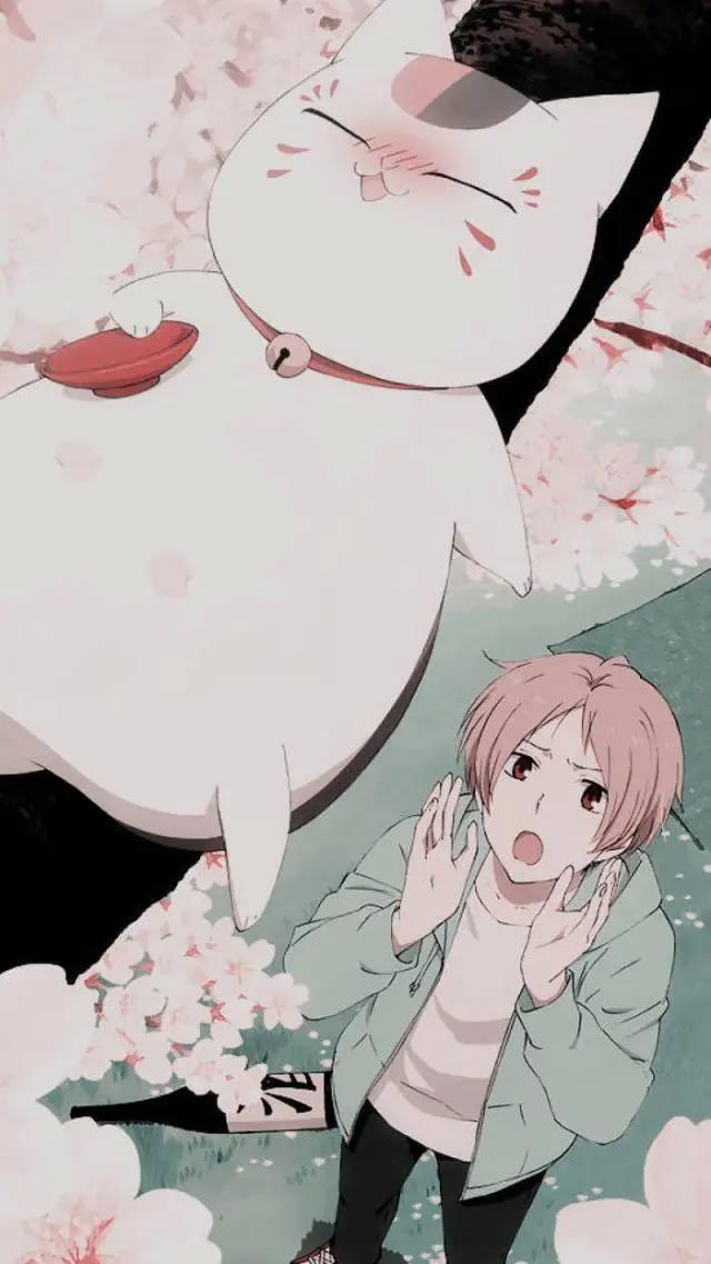 番剧推荐室07——《夏目友人帐》