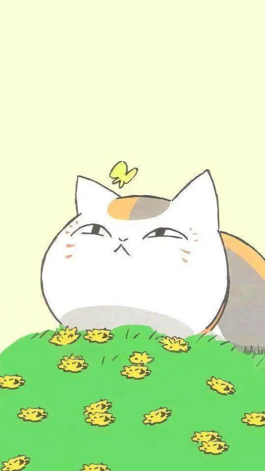 《夏目友人帐》猫咪老师的外号大全！你记得几个呢？