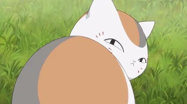 夏目友人帐动漫依然温馨治愈！娘口三三还是暖心的可爱大花猫！