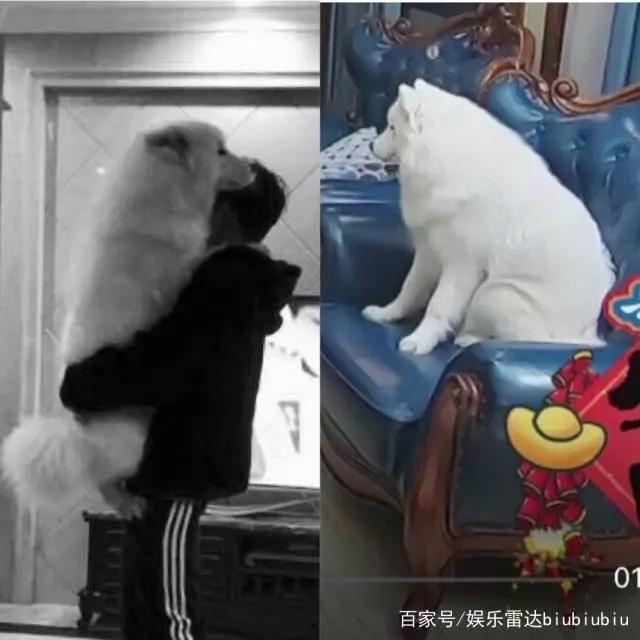 王源担任《夏目友人帐》剧场版推广大使，一份留学前最温暖的礼物