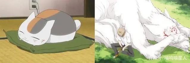 养猫必看的动漫！《夏目友人帐》剧场版即将上映！