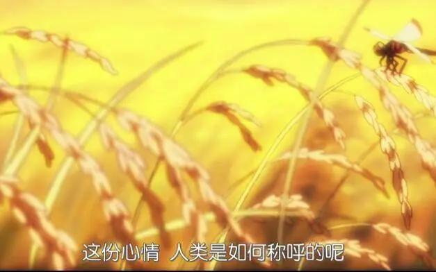 《夏目友人帐》中的治愈（泪目）瞬间