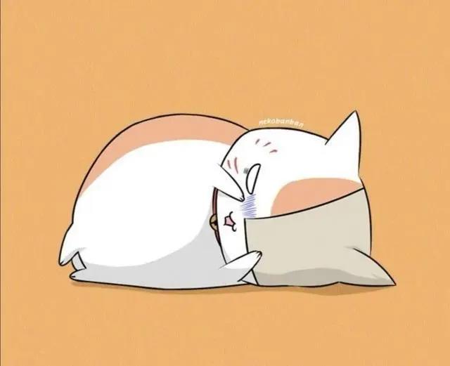 治愈动画《夏目友人帐》，为了吃，没有什么是猫咪老师做不到的