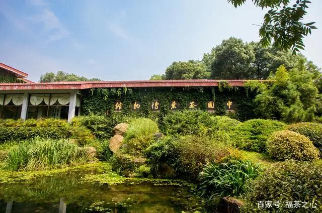 茶史篇|回望中国茶叶100年（完整版）