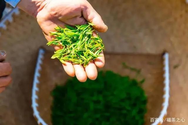 茶史篇|回望中国茶叶100年（完整版）