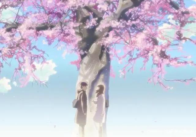 看一次就够了的动漫