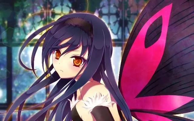 动漫：这些后宫番的套路，总是无心插柳柳成荫！