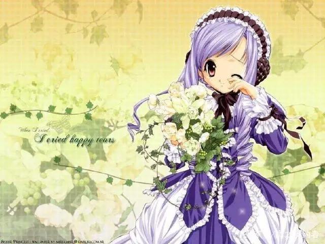 只有老司机才看过的8部后宫动画，其实我们都老了