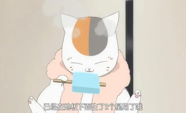 夏目友人帐：第一个为了夏目让自己牺牲的妖怪，那个可爱的影茶碗