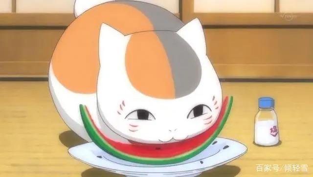 《夏目友人帐》传记，娘口三三猫老师，傲娇斑大人的日常你了解吗