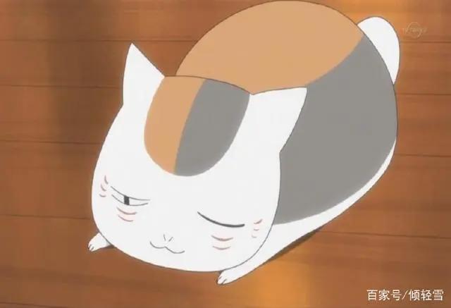 《夏目友人帐》传记，娘口三三猫老师，傲娇斑大人的日常你了解吗