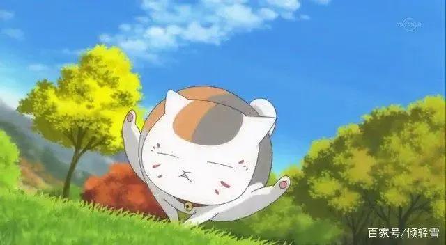 《夏目友人帐》传记，娘口三三猫老师，傲娇斑大人的日常你了解吗