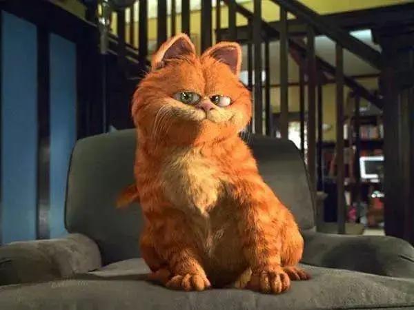 影视作品中最经典的8个猫咪形象，谁是你心目中的伴最佳形象呢？