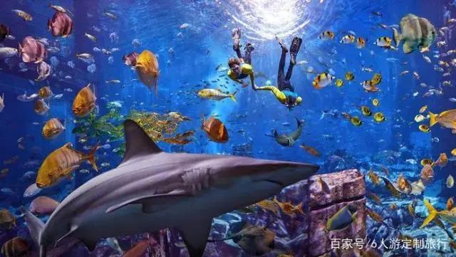 带着孩子去迪拜这样玩！舒适不累，大人小孩都开心！