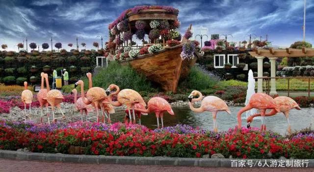 带着孩子去迪拜这样玩！舒适不累，大人小孩都开心！