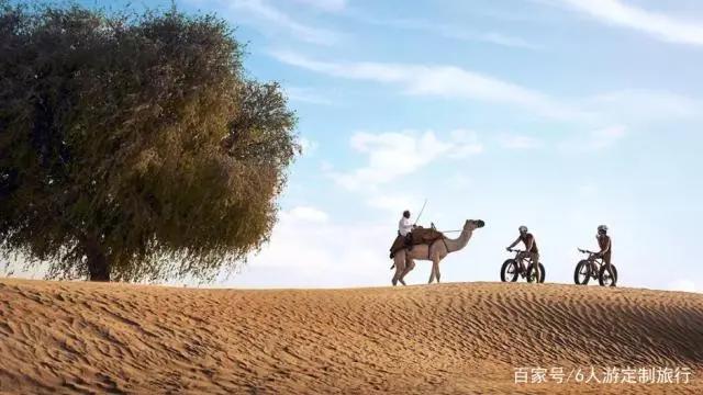 带着孩子去迪拜这样玩！舒适不累，大人小孩都开心！