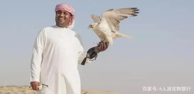 带着孩子去迪拜这样玩！舒适不累，大人小孩都开心！