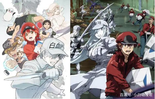 一月新番，神仙乱斗，多部黑马番开启续作模式，绝对有你看过的