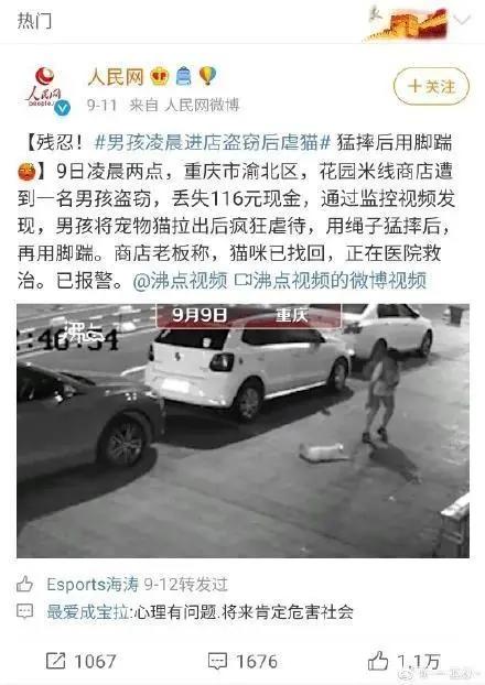 ACGN资讯：时隔6年，《记录的地平线》作者终于回来了！