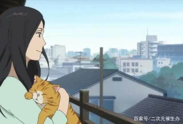 一部B站9.7分，播放量才200万的冷门神作！