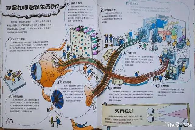 《不可不知的人体》|32个人体知识，了解真正的自己