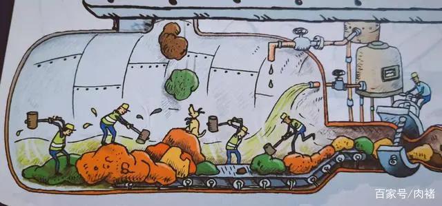 《不可不知的人体》|32个人体知识，了解真正的自己