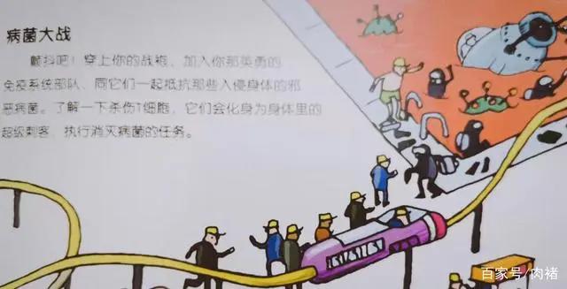 《不可不知的人体》|32个人体知识，了解真正的自己