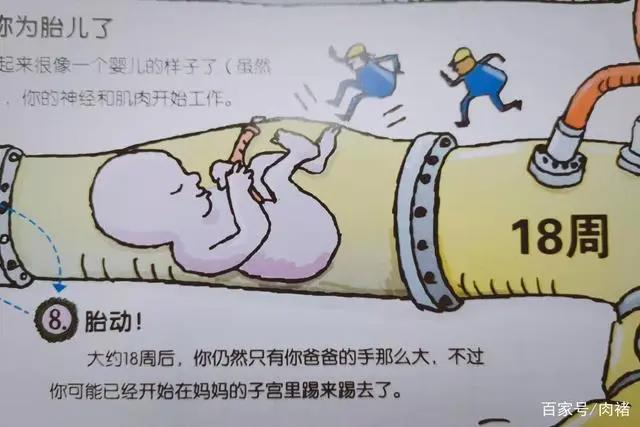 《不可不知的人体》|32个人体知识，了解真正的自己