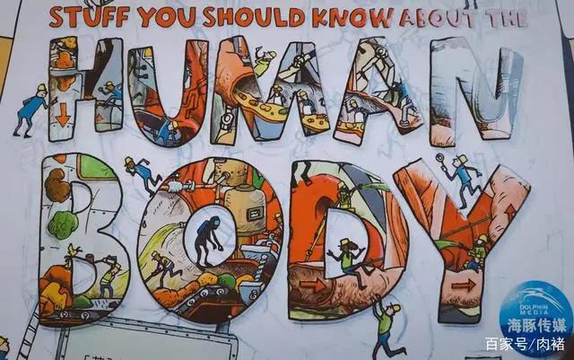 《不可不知的人体》|32个人体知识，了解真正的自己