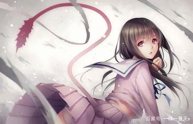 动漫部落格-野良神