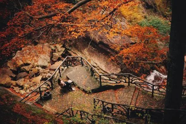 喜迎国庆，临安这些景区免门票，还有这些活动等你来！