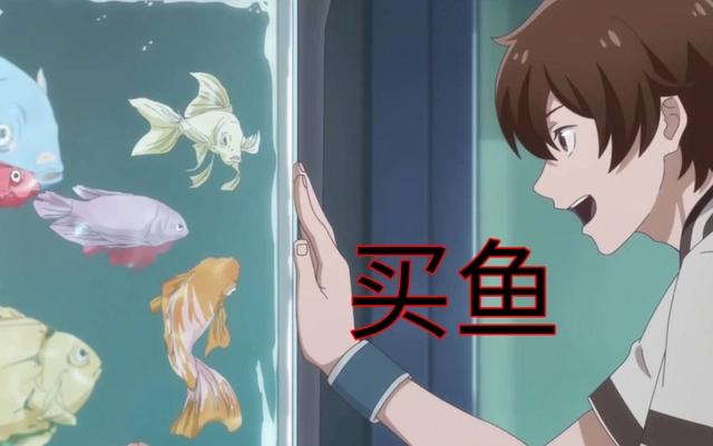 《我开动物园那些年》第3话：段佳泽种族优势初显，买鱼是暗示