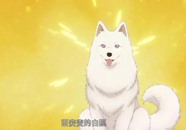 我开动物园那些年第五集，新角色有苏登场，希望时长可以增加！