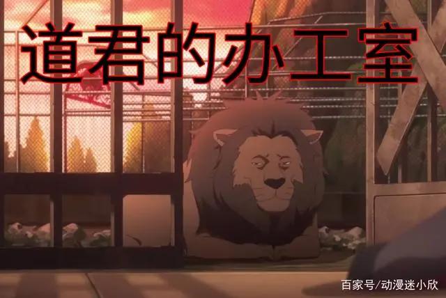 《我开动物园那些年》第2话：道君大型真香现场，伺候变饲养