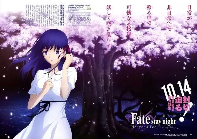 终于来了！《命运之夜-天之杯：恶兆之花》明年1月国内正式上映！