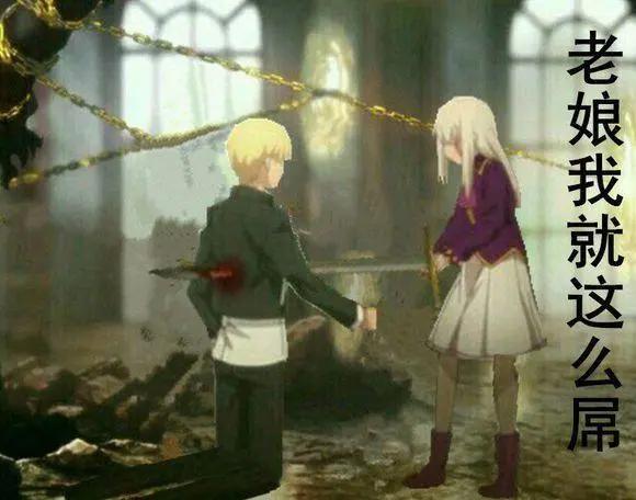 命运之夜——天之杯：恶兆之花，看完剧场版满脑子都是伊莉雅表情