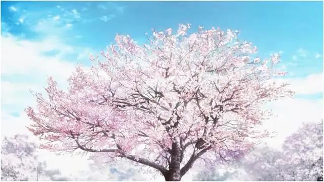 《命运之夜——天之杯：恶兆之花》：在我面前，你可以是“土狼”