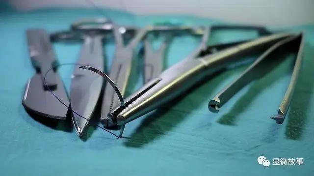 “福利姬”口述：父母不管我、被男友PUA、只想赚快钱换取独立｜显微故事