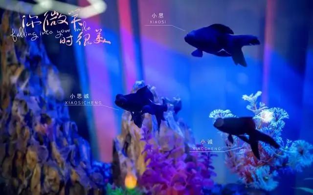 国产原创动漫《俑之城》真的会火吗？丁亮怎么做