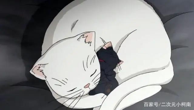 日漫《只要你说你爱我》，最受喜爱的不是女主角，而是她