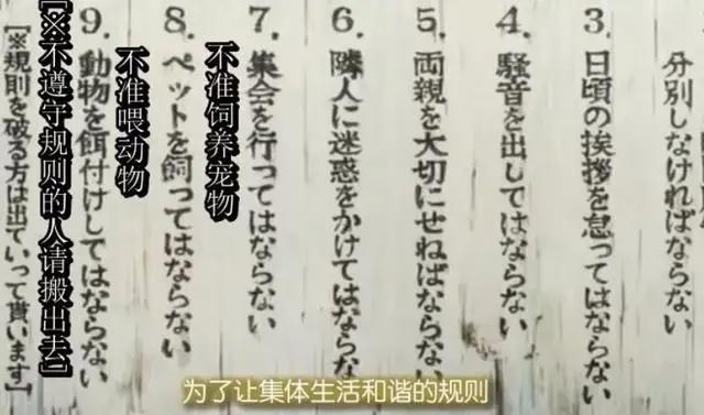 笑点一戳一个准，我快笑到阵亡了