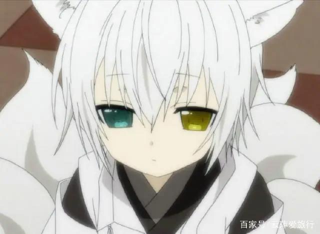 五部跨种族相爱的动漫，元气少女缘结神上榜，你最喜欢哪一部？