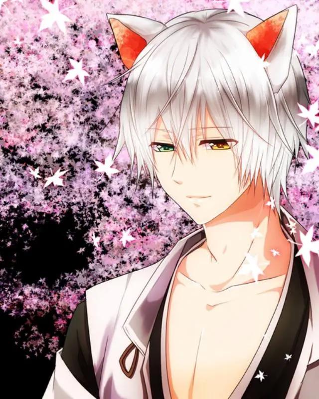 《妖狐×仆ss》；这位狐仙比巴卫更撩人！