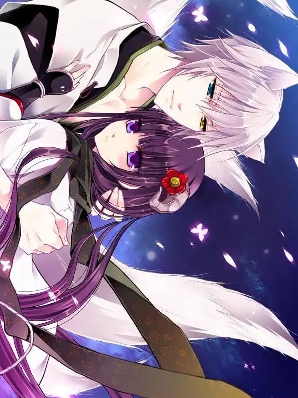 《妖狐×仆ss》；这位狐仙比巴卫更撩人！