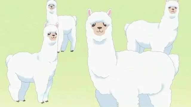 「周报」2018年1月周报第4期（01.22-01.28）