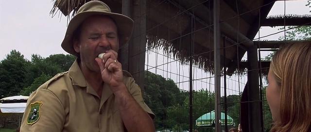 看完《工作细胞》不过瘾？这里有一份细胞拟人动画清单